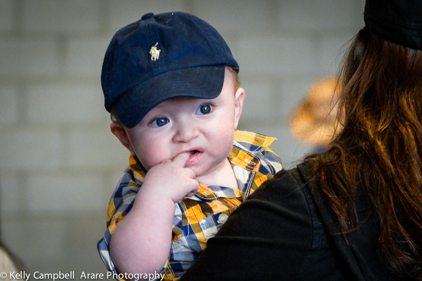 Kelly Campbell 2014 Scottsdale Arabian Horse Show