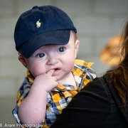 Kelly Campbell 2014 Scottsdale Arabian Horse Show