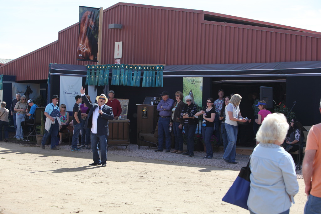 2014 Scottsdale Arabian Horse Show