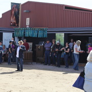 2014 Scottsdale Arabian Horse Show