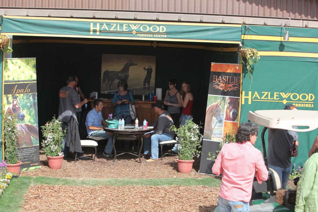 2014 Scottsdale Arabian Horse Show