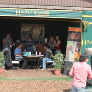 2014 Scottsdale Arabian Horse Show