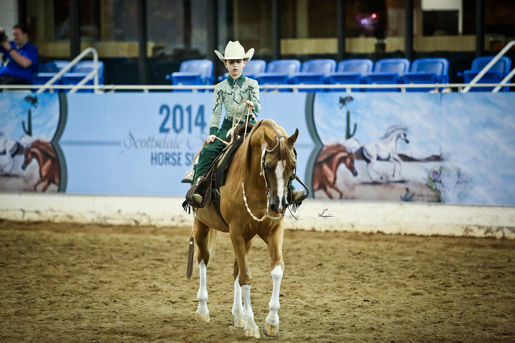 2014 Scottsdale Arabian Horse Show