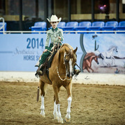2014 Scottsdale Arabian Horse Show