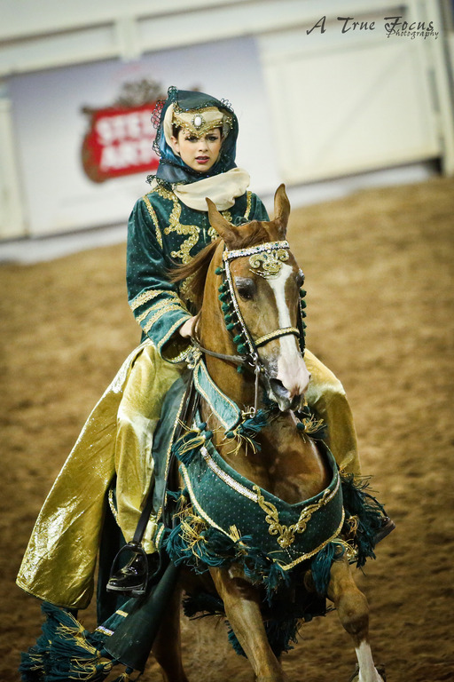 2014 Scottsdale Arabian Horse Show