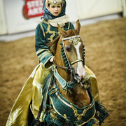 2014 Scottsdale Arabian Horse Show