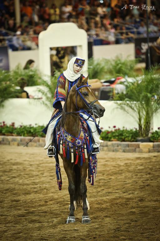 2014 Scottsdale Arabian Horse Show