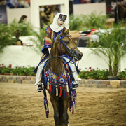 2014 Scottsdale Arabian Horse Show
