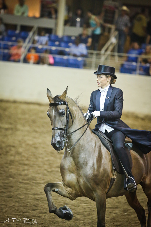 2014 Scottsdale Arabian Horse Show