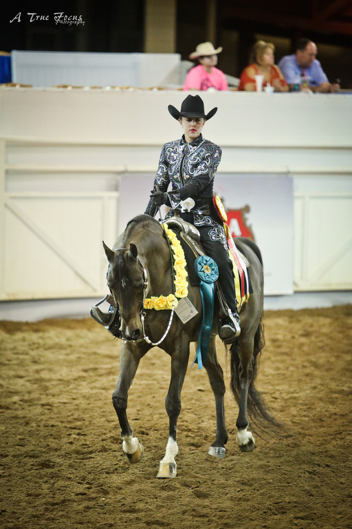 2014 Scottsdale Arabian Horse Show