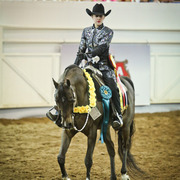 2014 Scottsdale Arabian Horse Show