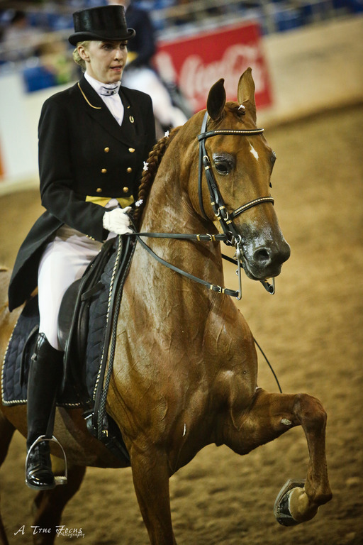 2014 Scottsdale Arabian Horse Show