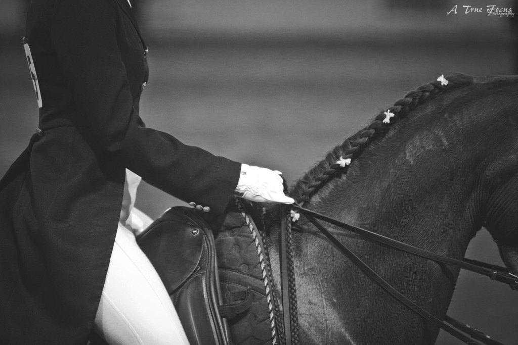 2014 Scottsdale Arabian Horse Show