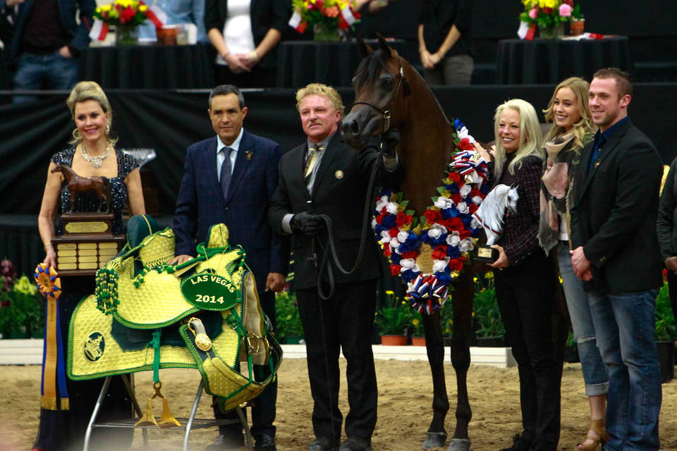 2014 Arabian Breeders World Cup
