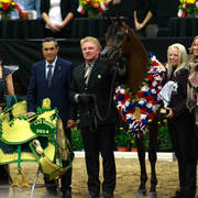 2014 Arabian Breeders World Cup