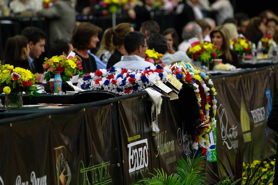 2014 Arabian Breeders World Cup