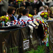 2014 Arabian Breeders World Cup