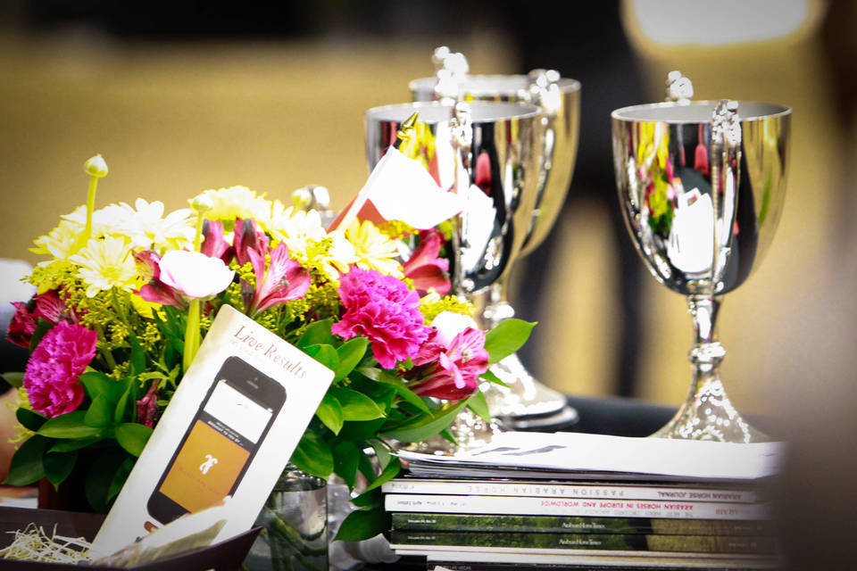 2014 Arabian Breeders World Cup