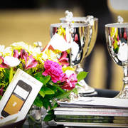 2014 Arabian Breeders World Cup