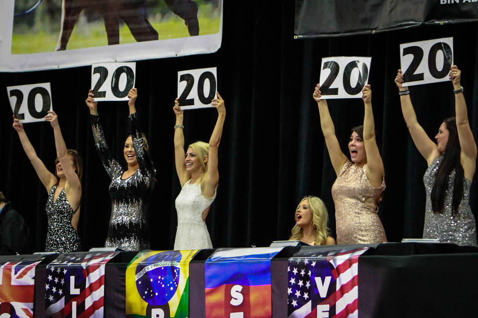 2014 Arabian Breeders World Cup