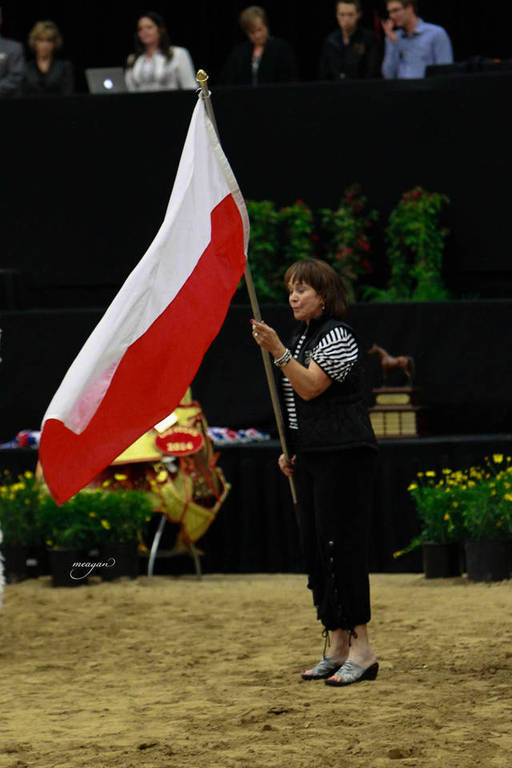 2014 Arabian Breeders World Cup