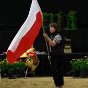 2014 Arabian Breeders World Cup