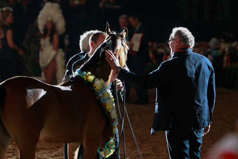 2014 Arabian Breeders World Cup