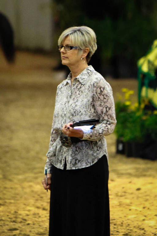 2014 Arabian Breeders World Cup