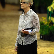 2014 Arabian Breeders World Cup