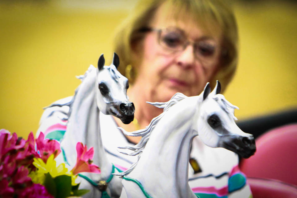 2014 Arabian Breeders World Cup