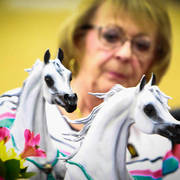 2014 Arabian Breeders World Cup