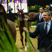 2014 Arabian Breeders World Cup