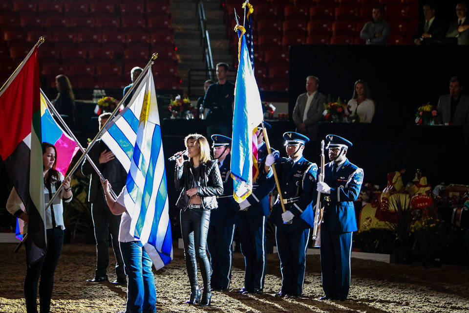 2014 Arabian Breeders World Cup