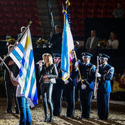 2014 Arabian Breeders World Cup