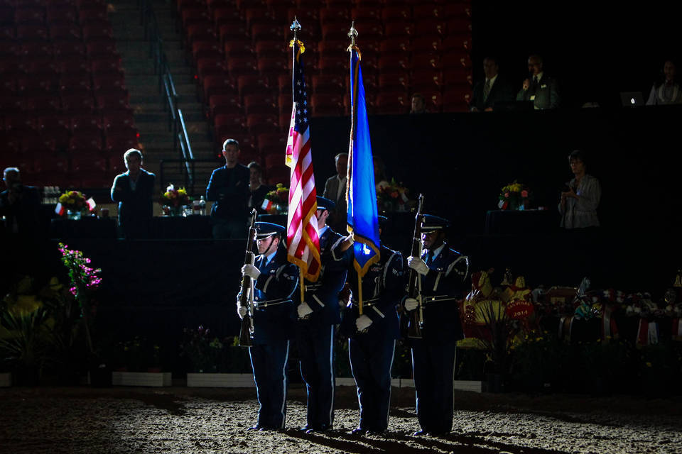2014 Arabian Breeders World Cup
