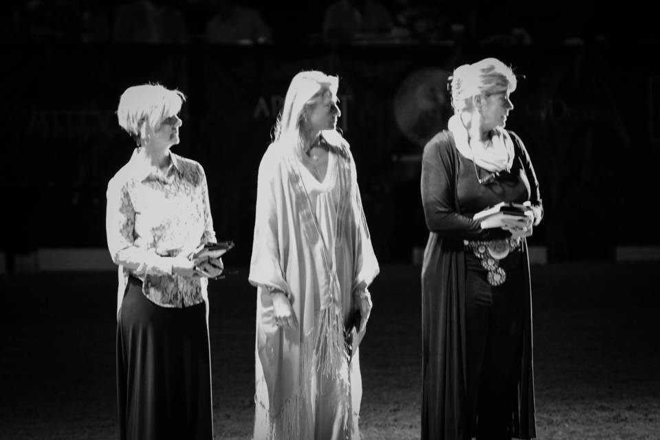 2014 Arabian Breeders World Cup