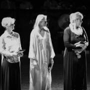 2014 Arabian Breeders World Cup