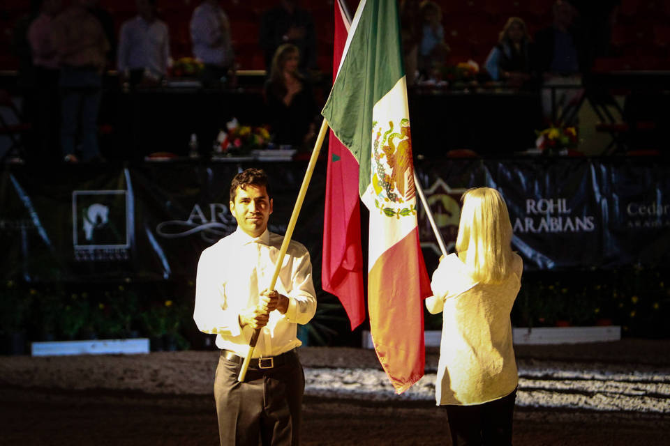 2014 Arabian Breeders World Cup