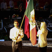 2014 Arabian Breeders World Cup