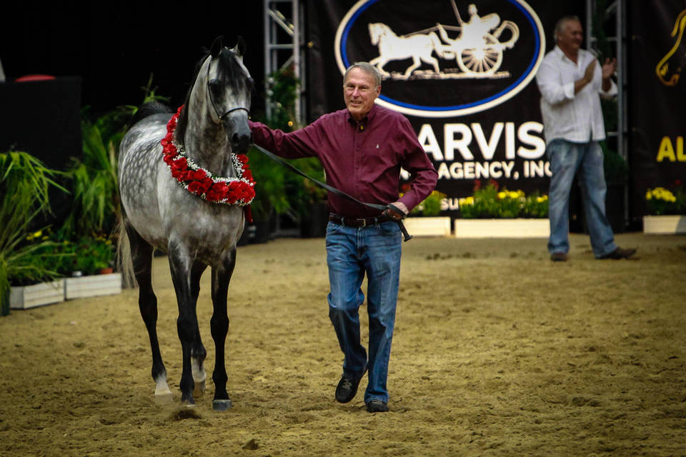 2014 Arabian Breeders World Cup