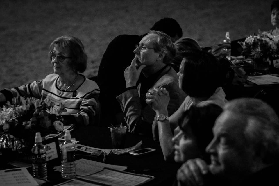 2014 Arabian Breeders World Cup