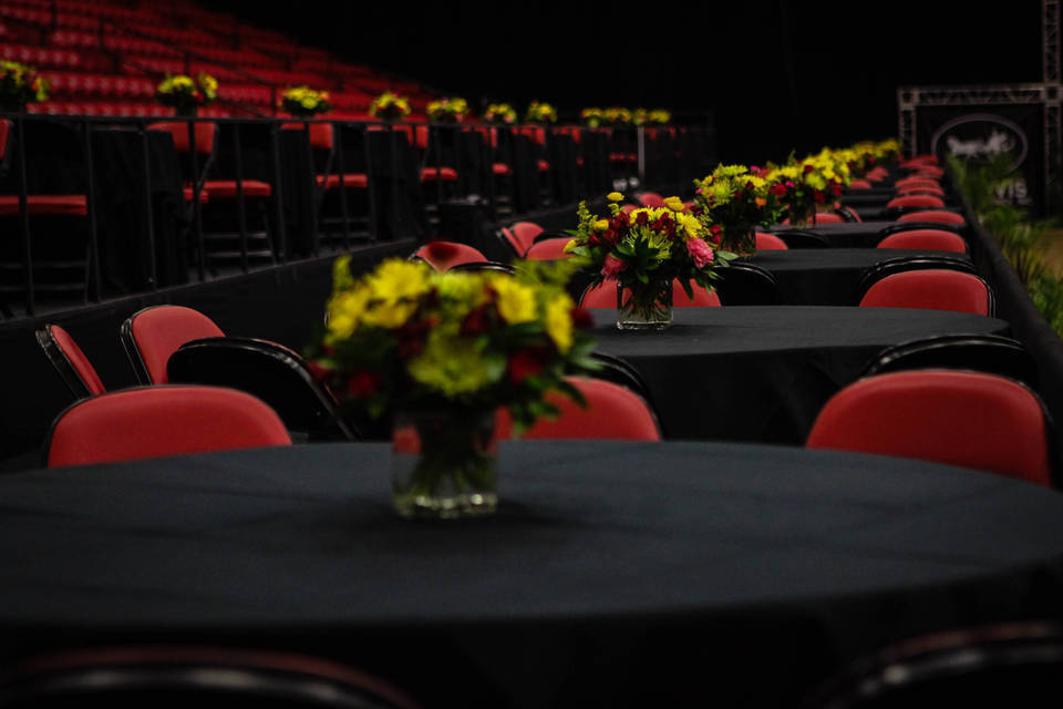 2014 Arabian Breeders World Cup