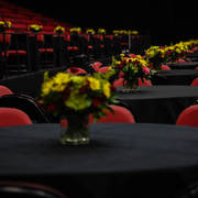 2014 Arabian Breeders World Cup