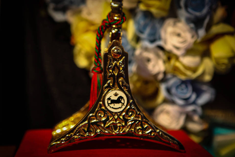 2014 Arabian Breeders World Cup