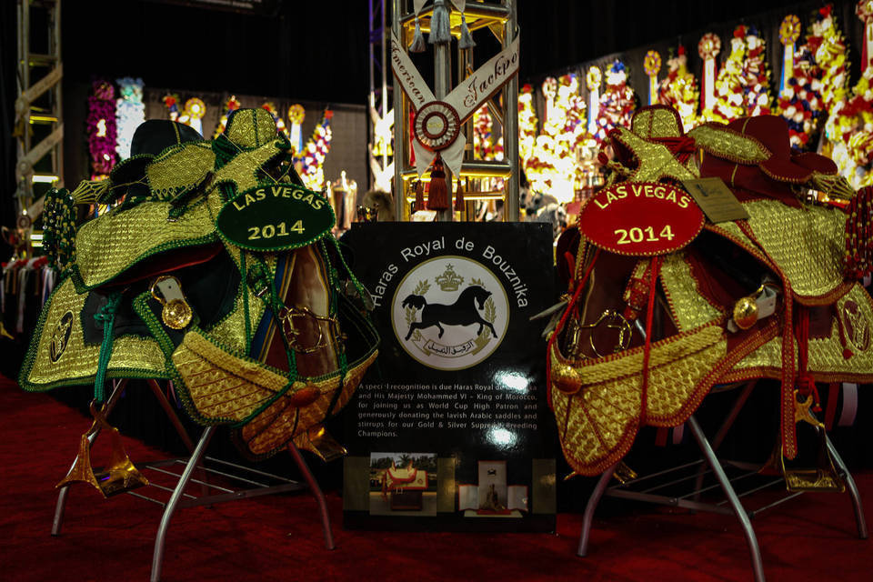 2014 Arabian Breeders World Cup