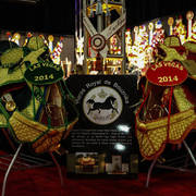 2014 Arabian Breeders World Cup