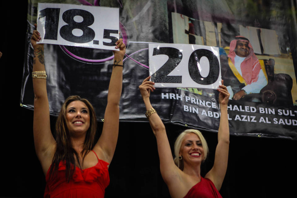 2014 Arabian Breeders World Cup