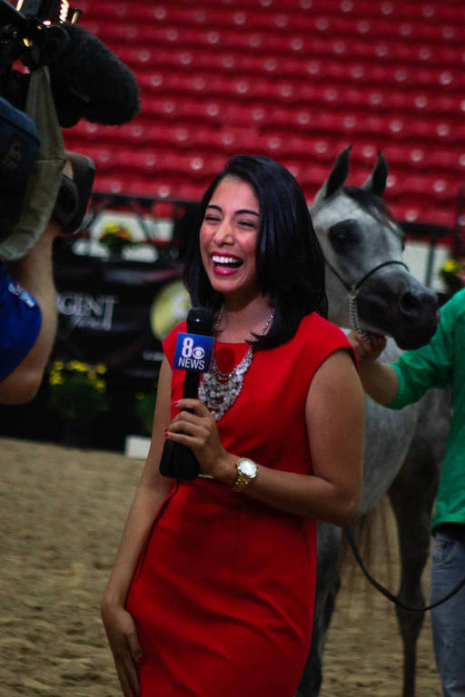 2014 Arabian Breeders World Cup