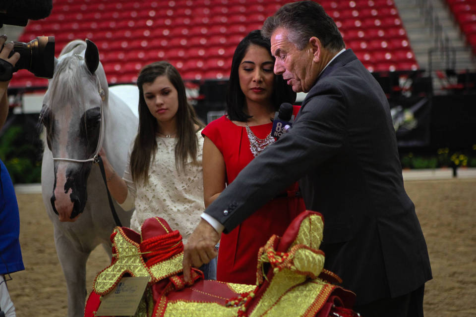 2014 Arabian Breeders World Cup