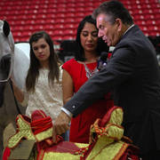 2014 Arabian Breeders World Cup